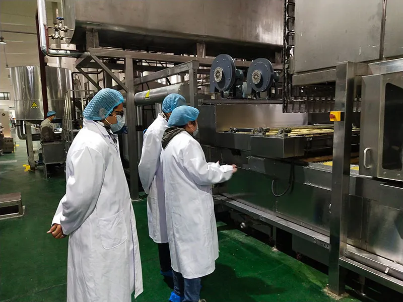 Ligne de production de nouilles instantanées frites 500 en Inde